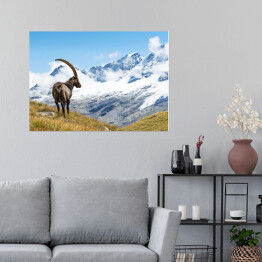 Plakat Góry w Parku Narodowym Gran Paradiso, Włochy