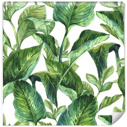 Tapeta samoprzylepna w rolce Wyblakłe tropikalne liście na białym tle