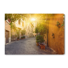Obraz na płótnie Stara ulica w Trastevere w Rzymie, Włochy