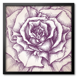 Obraz w ramie Przydymiona kwitnąca róża