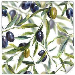 Tapeta w rolce Akwarela - gałąź drzewa oliwnego z oliwkami