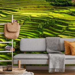 Fototapeta winylowa zmywalna Pola ryżowe, prowincja Jena Bai, Wietnam