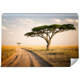 Fototapeta winylowa zmywalna Afrykański krajobraz - Tanzania