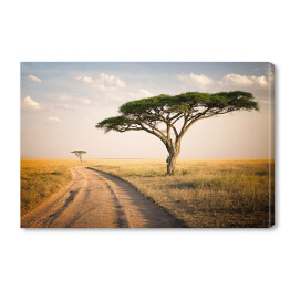 Obraz na płótnie Afrykański krajobraz - Tanzania