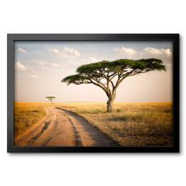Obraz w ramie Afrykański krajobraz - Tanzania