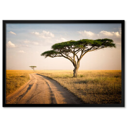 Plakat w ramie Afrykański krajobraz - Tanzania