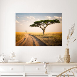 Plakat Afrykański krajobraz - Tanzania