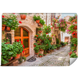 Fototapeta winylowa zmywalna Ulica w małym miasteczku we Włoszech w lecie, Umbria