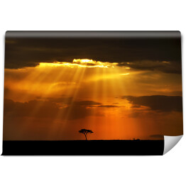 Fototapeta Niebiańskie promienie na afrykańskim krajobrazie