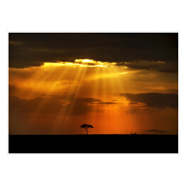 Plakat samoprzylepny Niebiańskie promienie na afrykańskim krajobrazie