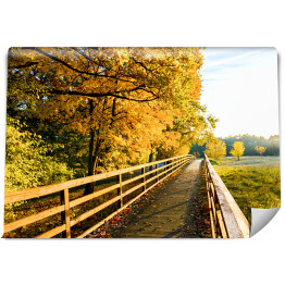 Fototapeta samoprzylepna Mostek obok parku jesienią