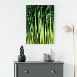 Obraz na płótnie Zielone bambusowe naturalne tło