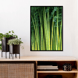 Plakat w ramie Zielone bambusowe naturalne tło