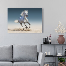 Obraz na płótnie Biały koń biegnący galopem