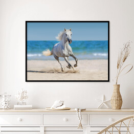 Plakat w ramie Koń galopujący po plaży