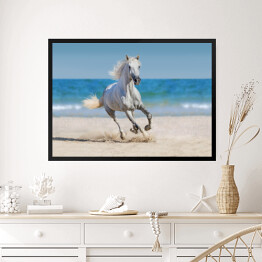 Obraz w ramie Koń galopujący po plaży