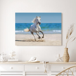 Obraz na płótnie Koń galopujący po plaży