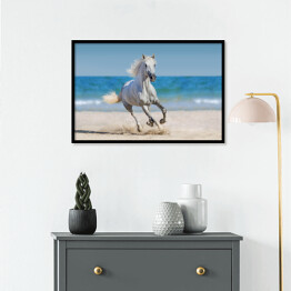 Plakat w ramie Koń galopujący po plaży