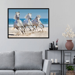Plakat w ramie Konie biegnące w szyku wzdłuż wybrzeża