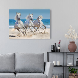 Obraz na płótnie Konie biegnące w szyku wzdłuż wybrzeża