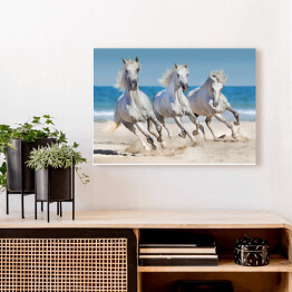 Obraz na płótnie Konie biegnące w szyku wzdłuż wybrzeża