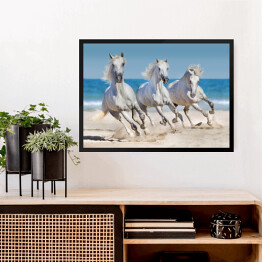 Obraz w ramie Konie biegnące w szyku wzdłuż wybrzeża