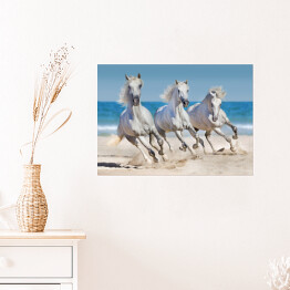 Plakat samoprzylepny Konie biegnące w szyku wzdłuż wybrzeża