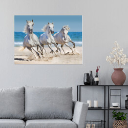Plakat Konie biegnące w szyku wzdłuż wybrzeża