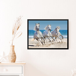 Obraz w ramie Konie biegnące w szyku wzdłuż wybrzeża