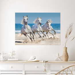 Plakat Konie biegnące w szyku wzdłuż wybrzeża