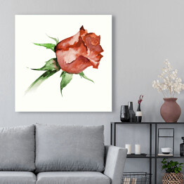 Obraz na płótnie Akwarela - piękna czerwona wyblakła róża