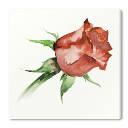 Obraz na płótnie Akwarela - piękna czerwona wyblakła róża