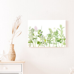 Obraz na płótnie Akwarelowa łąka pełna ziół i kwiatów