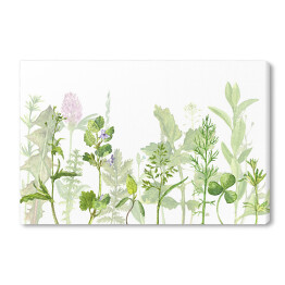 Obraz na płótnie Akwarelowa łąka pełna ziół i kwiatów