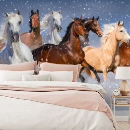 Fototapeta Stado koni galopujących w zimie