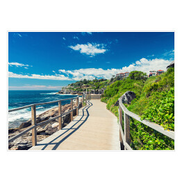 Plakat Plaża Bondi w Sydney w Australii w słoneczny dzień