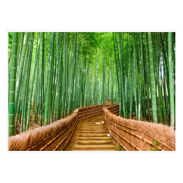 Plakat samoprzylepny Most prowadzący przez bambusowy las, Kioto, Japonia 