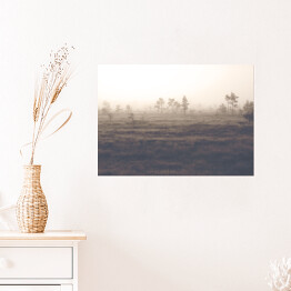 Plakat Sosny na polanie we mgle