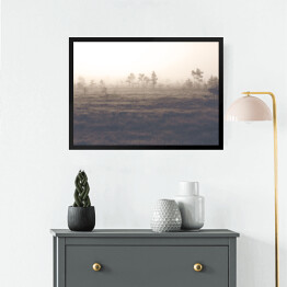 Obraz w ramie Sosny na polanie we mgle