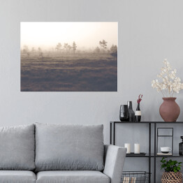Plakat samoprzylepny Sosny na polanie we mgle