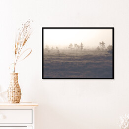 Plakat w ramie Sosny na polanie we mgle