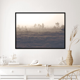 Plakat w ramie Sosny na polanie we mgle