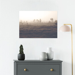 Plakat samoprzylepny Sosny na polanie we mgle