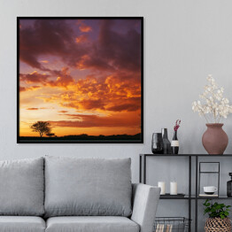 Plakat w ramie Zachód słońca nad afrykańskim niebem