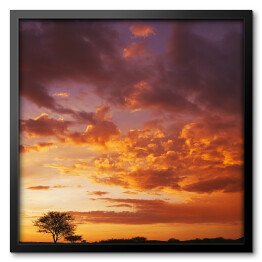 Obraz w ramie Zachód słońca nad afrykańskim niebem