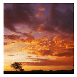 Plakat samoprzylepny Zachód słońca nad afrykańskim niebem