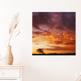 Plakat samoprzylepny Zachód słońca nad afrykańskim niebem