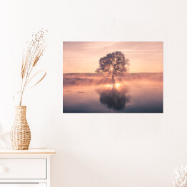 Plakat Wschód słońca na tle drzewa na polanie