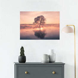 Plakat samoprzylepny Wschód słońca na tle drzewa na polanie