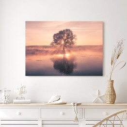 Obraz na płótnie Wschód słońca na tle drzewa na polanie